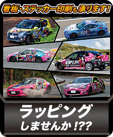 PLUM Racing Team